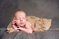 Newborns